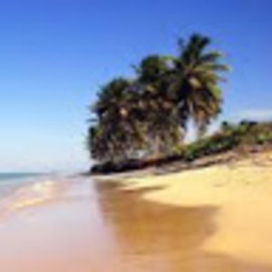 Meet your Posher, Monique